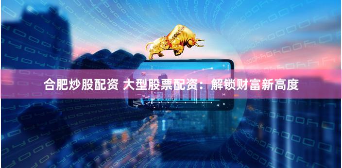 合肥炒股配资 大型股票配资：解锁财富新高度