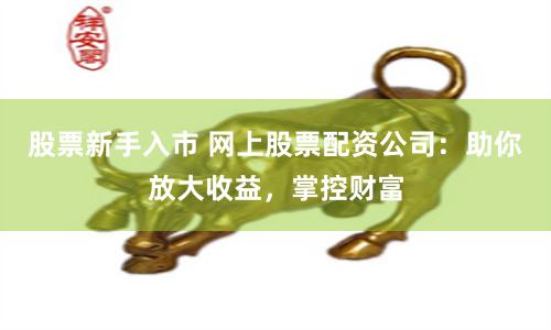 股票新手入市 网上股票配资公司：助你放大收益，掌控财富