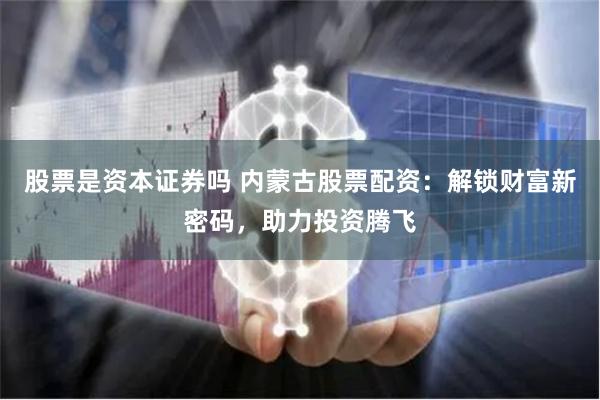股票是资本证券吗 内蒙古股票配资：解锁财富新密码，助力投资腾飞