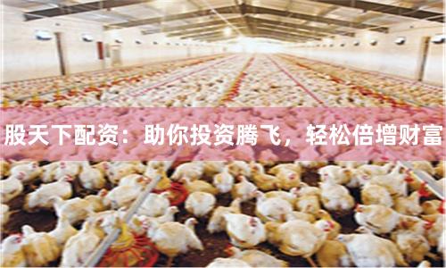股天下配资：助你投资腾飞，轻松倍增财富